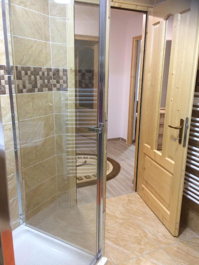 Апартаменты Vila Floarea De Colt Борша Экстерьер фото