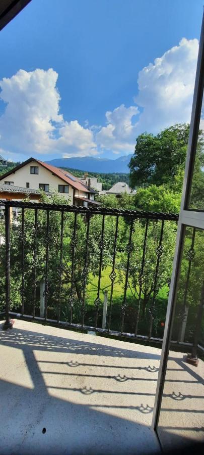 Апартаменты Vila Floarea De Colt Борша Экстерьер фото